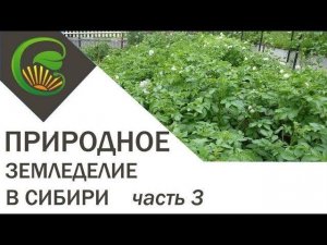 Природное земледелие в Сибири часть 3