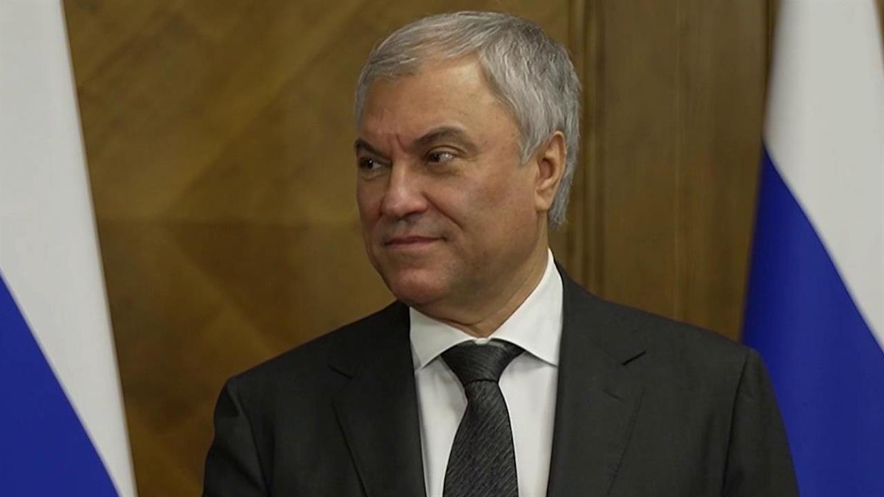 Володин назвал развитие отношений с африканскими странами одним из внешнеполитических приоритетов РФ