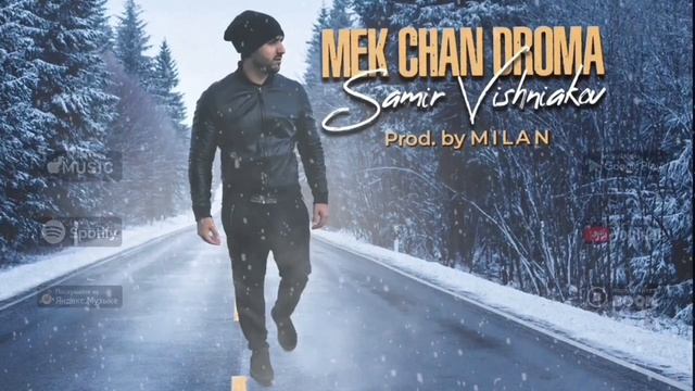 SAMIR VISHNIAKOV  МЭК ЧАН ДРОМА