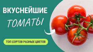 Вкус этих томатов останется с вами навсегда. Самые вкусные томаты😋