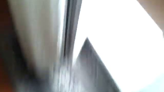 Кошки любят поиграть)) смотреть онлайн