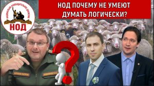 НОД почему не умеют думать логически? Юрий Самонкин