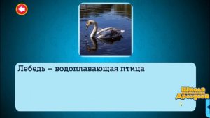 Добавление собственных материалов в занятие «Школа профессора Дроздова»