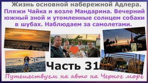 Жизнь набережной Адлера. Пляжи Чайка, Мандарин, вечерний зной и утомленные солнцем собаки. Часть 31