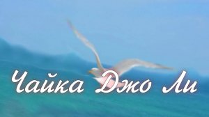 Чайка Джо Ли