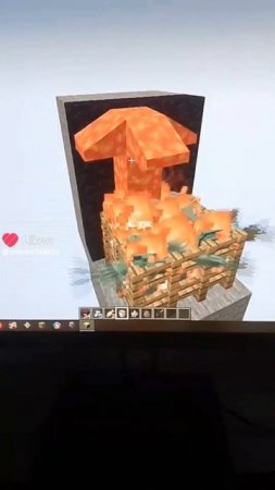1000020837.mp4