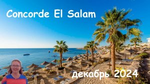 Обзор отеля Concorde El Salam в Шарм-Эль-Щейхе