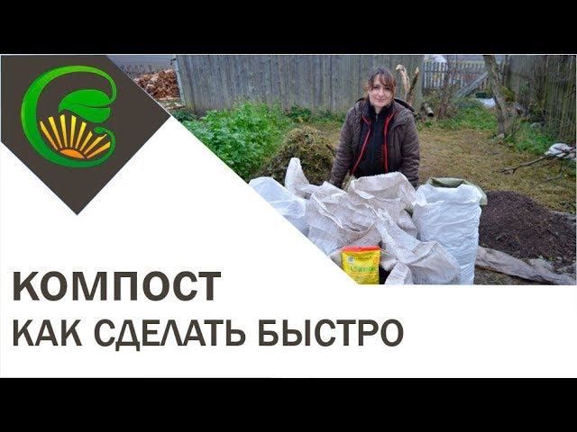 Как сделать компост  Быстрый способ