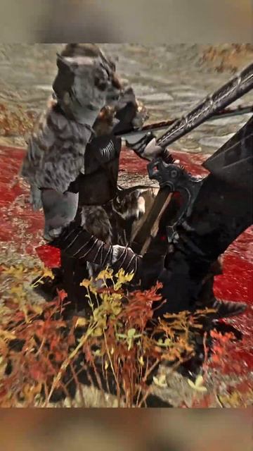 Skyrim, Достали Квадроберы!