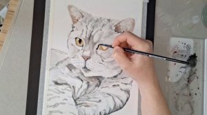 Как рисовать! Полосатый кот цветными карандашами и акварелью!