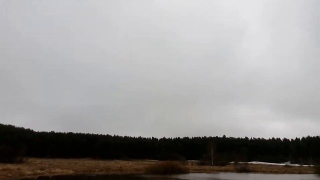 Чирки,кряквы 08.04.2017 смотреть онлайн