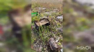 Закорм пчел в зиму, открытым способом! Пчелы будут сыты!