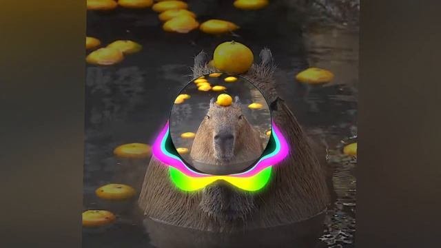 лкгпгпткоанмп тун тун тунтунтун 🫠