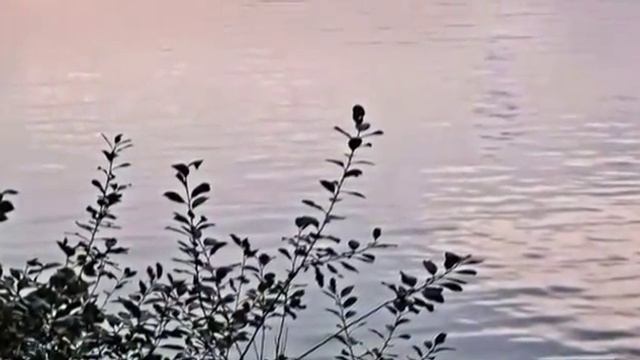 Ф. Шуберт - Вечерняя серенада F. Schubert - Serenade.mp4