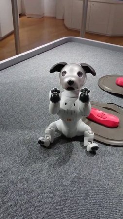 AIBO, Sony, Doggy, Robot 아이봇 로봇 강아지 놀라운 일본