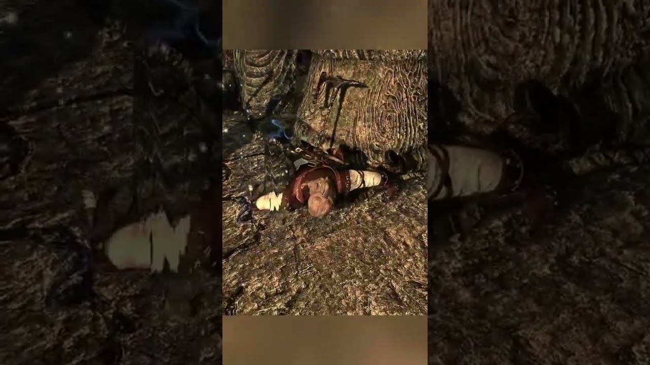 Skyrim, Полёты Геральта!