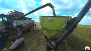 Психанул и ПОКИНУЛ уборку пшеницы на John Deere 8335R с перегрузчиком. Что будет дальше!?