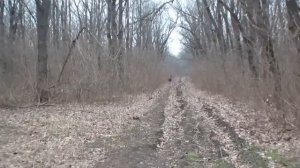 На испытания в Новопашковку 2024