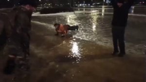 Физ подготовка от Стаи: выполнить задачу в любых условиях