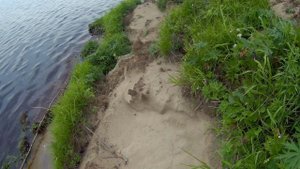 24 08 2017г. на Северной Двине на рыбалке.