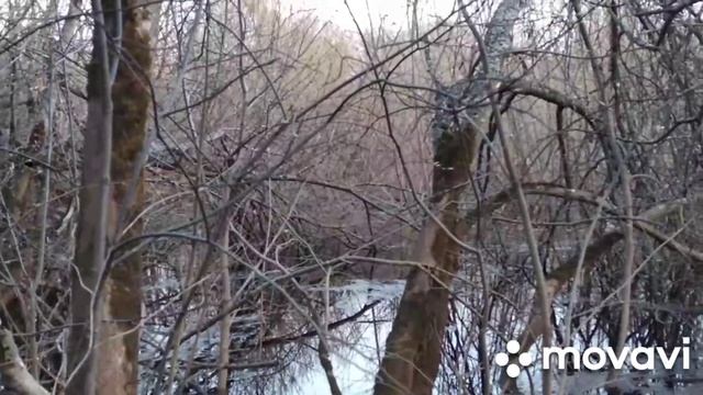 Весна 20г.(Бобр 3ч) смотреть онлайн