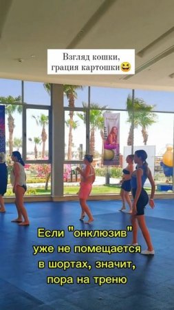 Взгляд кошки, грация картошки💃