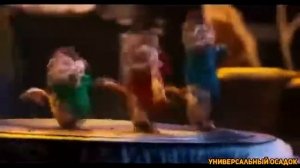 Бурундуклар янги мусика