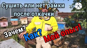 Сушить или нет рамки после откачки меда! Как? Зачем? Мой опыт!
