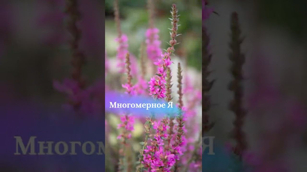 Многомерное Я #космоэнергетика #психология #осознанность #духовныйрост #просветление