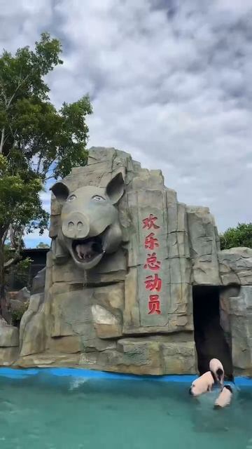 Свинопад)) смотреть онлайн