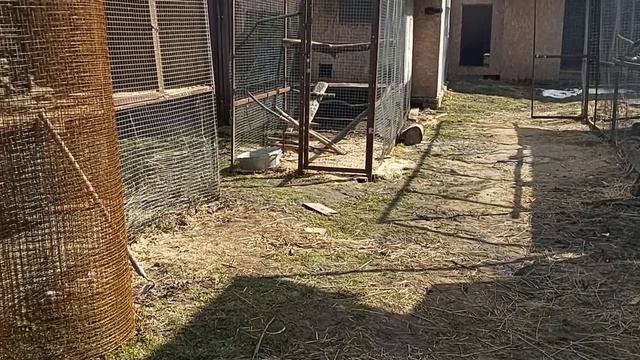 Грачики не желают сниматься 10 04 21 г смотреть онлайн