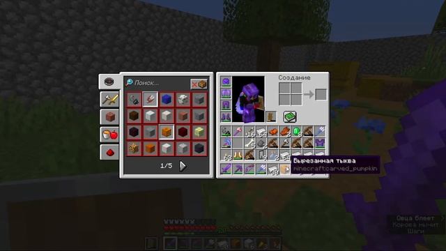 БЕЗУМНО СЛОЖНЫЙ РЕЙД в МАЙНКРАЙТЕ, ГДЕ ОДНИ ОвЦЫ!!! смотреть онлайн