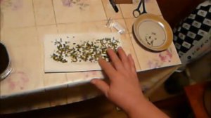 флоксы 2ч  22 02 2017г посев семян.