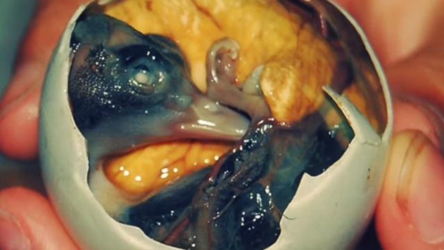 title ph napaporn 604 34 смотреть онлайн