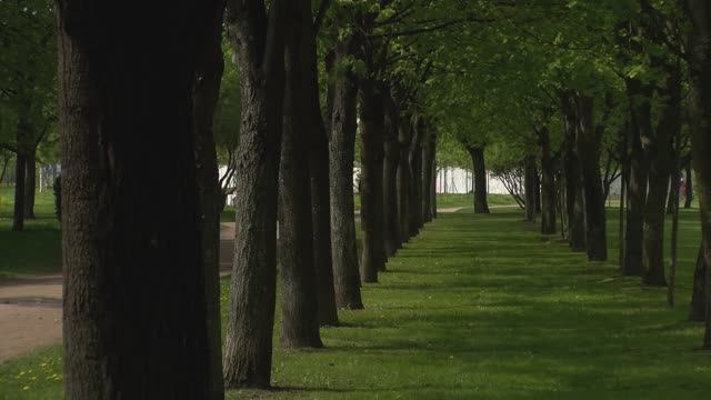 Наваждение