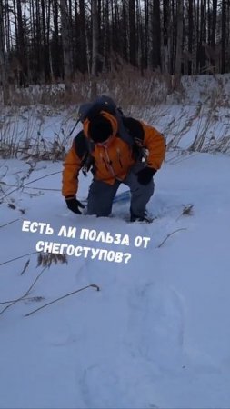 Есть ли польза от использования снегоступов?
