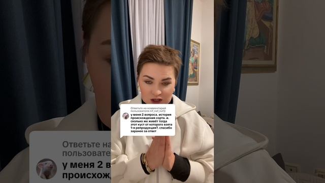 Ответы на вопросы .Часть 2