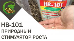 НВ 101 Природный стимулятор роста