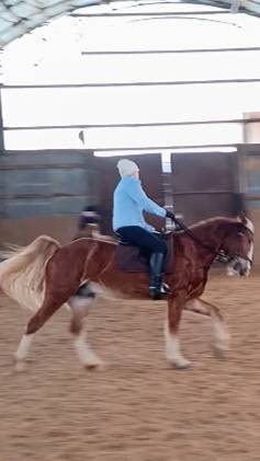 Ольга и Каспер, менки, отстал на один темп. #horse #equestrian #лошади #pony