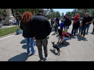 Барселона.Парк Цитадель