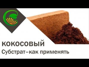 Кокосовый субстрат, видеоинструкция