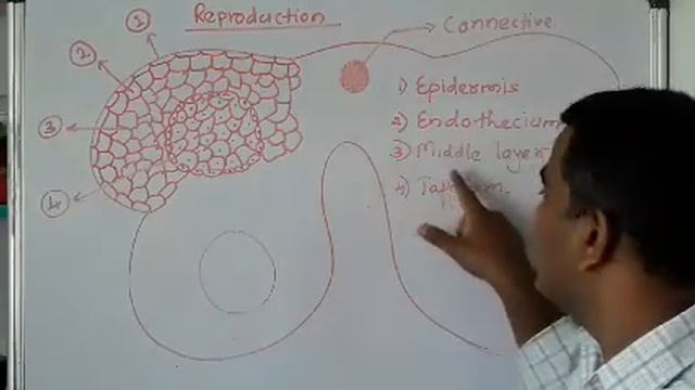 Biology topic 01 video 04 смотреть онлайн