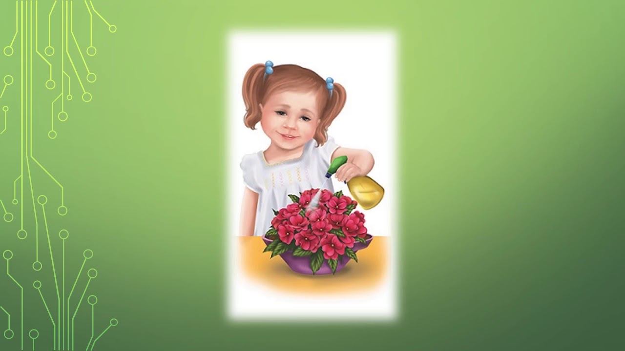 Комнатные растения