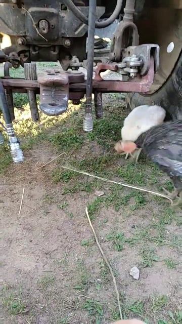 11 августа 2022 г. смотреть онлайн