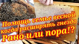 Подкормка пчел весной!  Когда расширить гнездо -  рано или пора?