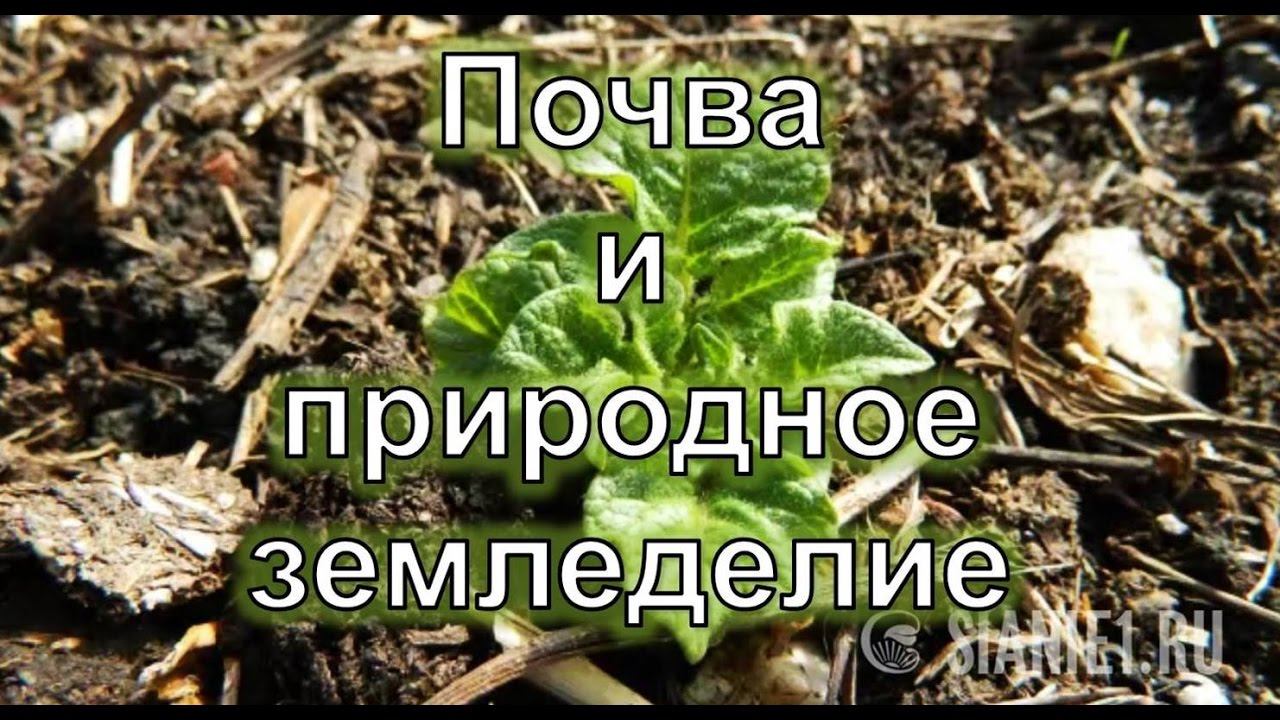 Почва и природное земледелие