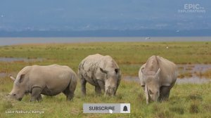 Чудеса Африки | Самые удивительные места Африки | Путеводитель в формате 4K