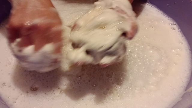 прилипушки 