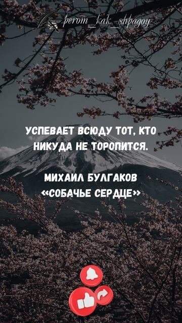 Цитаты о преодолении