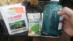 Укоренитель, который делаю сама и считаю его эффективным!